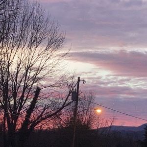 Meet your Posher, Alayna